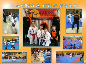 Sakura Cup 2015